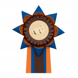 Kokarda dvojradová HVIEZDA, priemer 13 cm