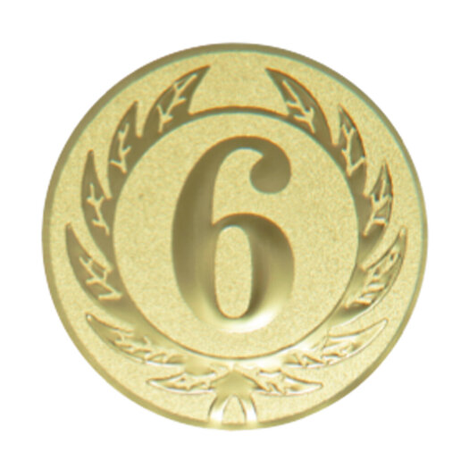 Emblém číslica 6, priemer 25 mm