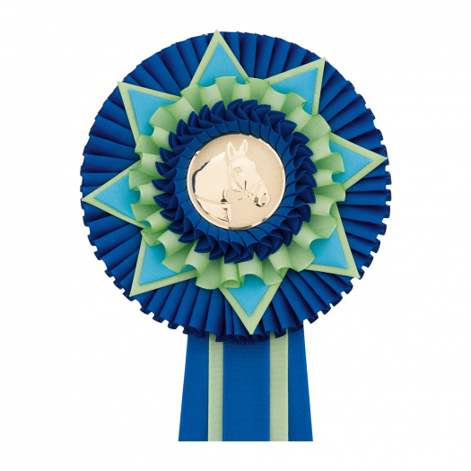 Kokarda štvorradová HVIEZDA, priemer 16 cm